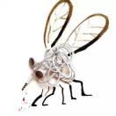 ༄ᐝ多财🍀多亿ഒᩚ࿐