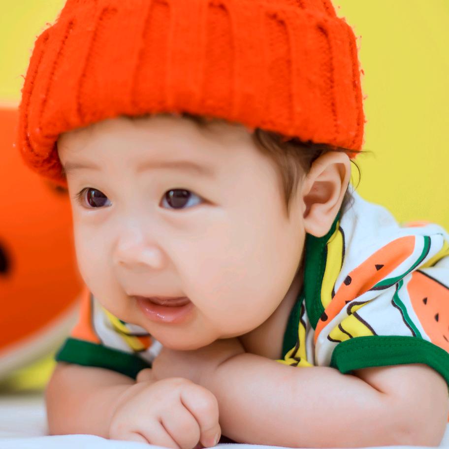 呈铭鸽舍——LY