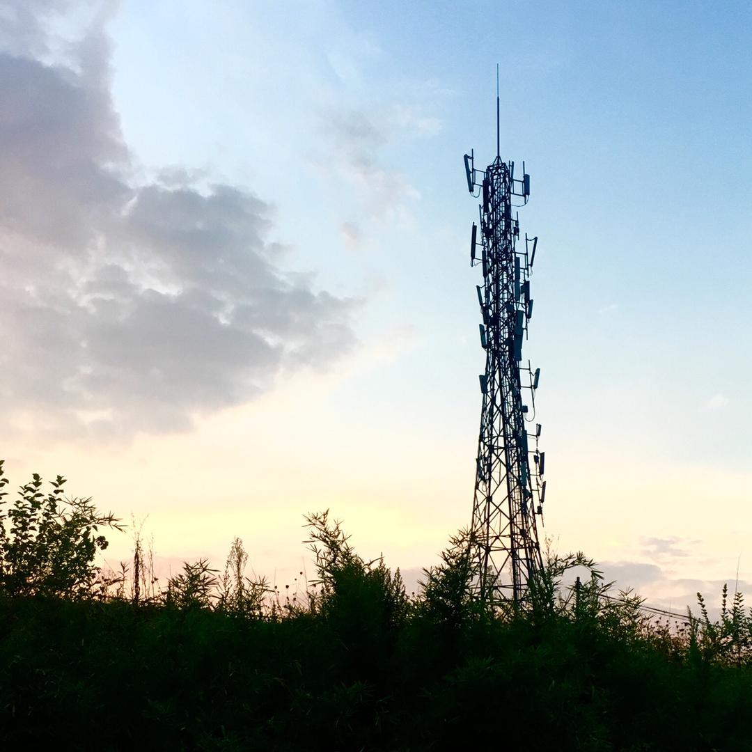 山那边金弹子园艺