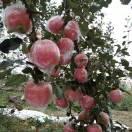 我爱我家👫👯