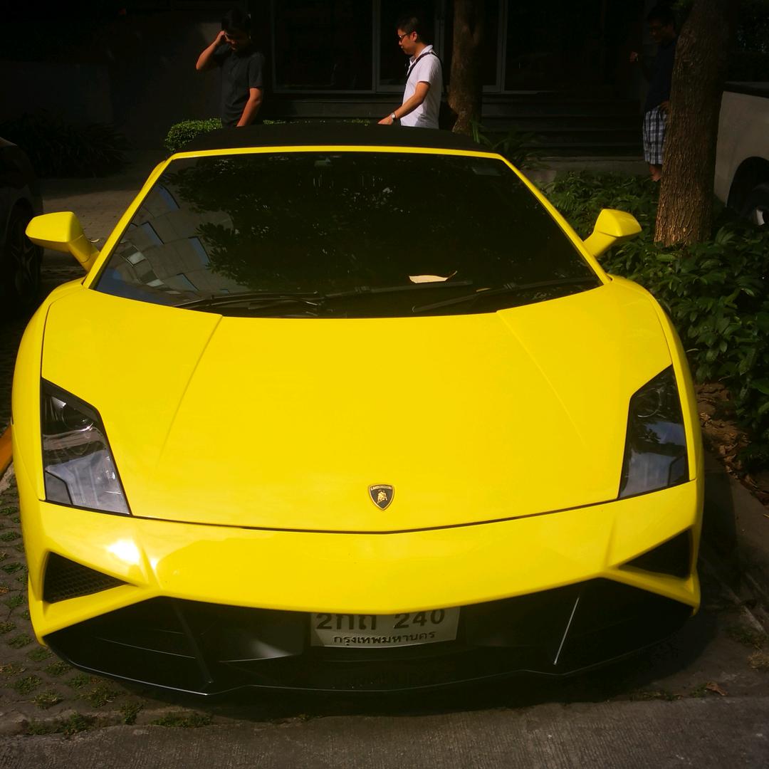 南京金鱼
