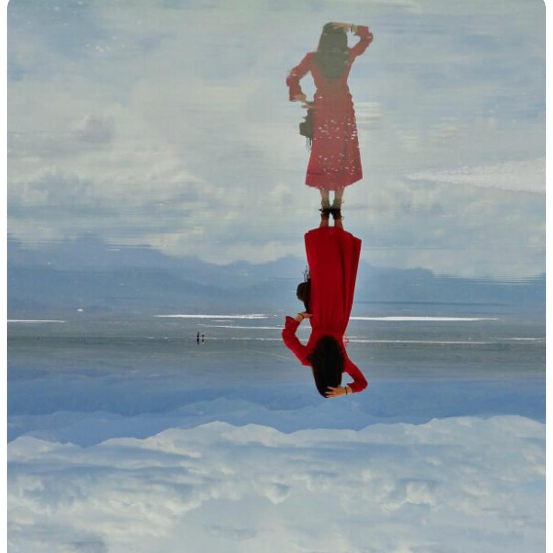 牛宝姐和安安哥