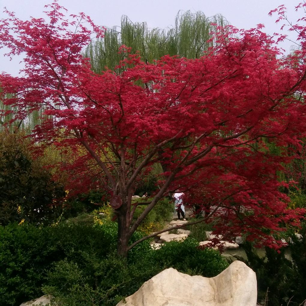 好好爱自己