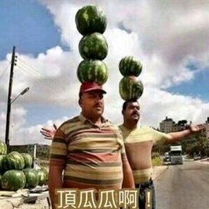 顶瓜瓜啊