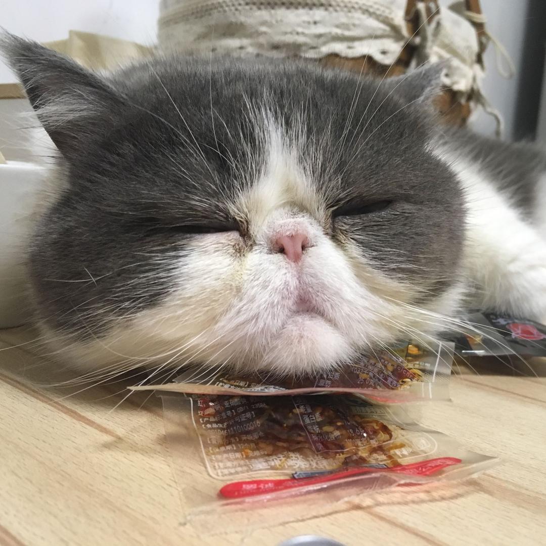 大脸猫