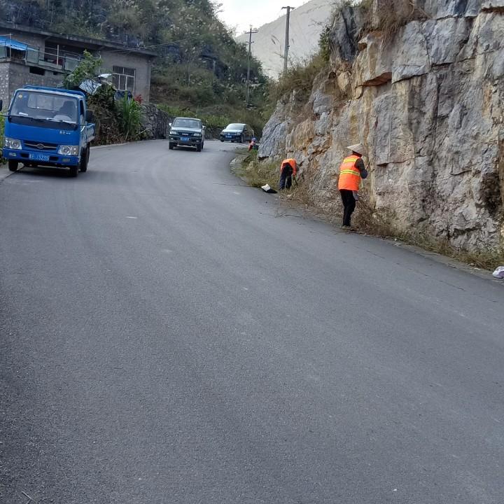 龙哥