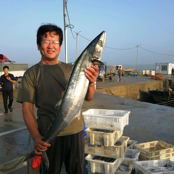 日照浩宇渔家官方号
