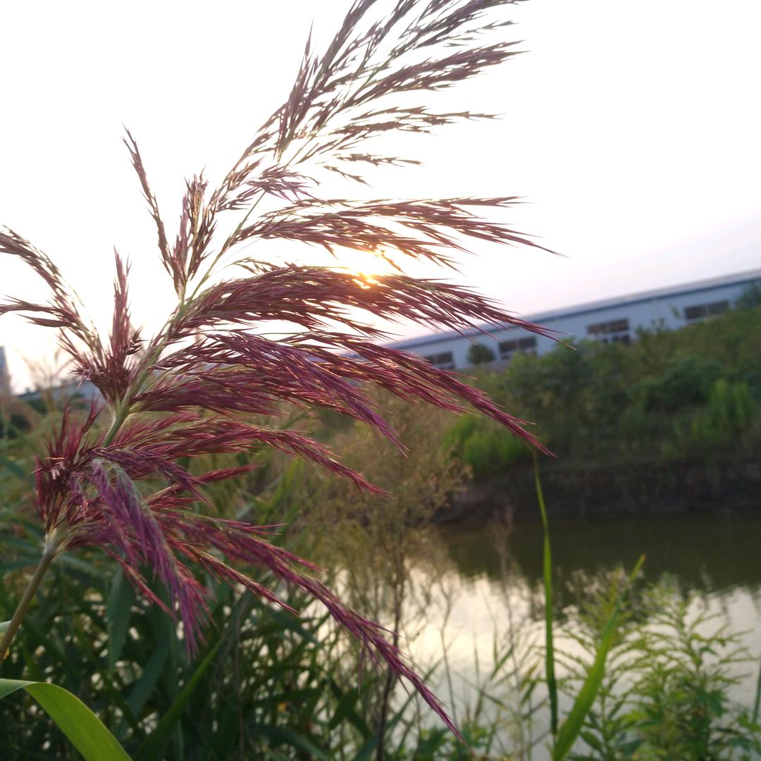 用户923011246106 开心就好