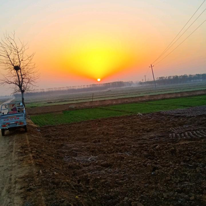 阳青农场~~小宋