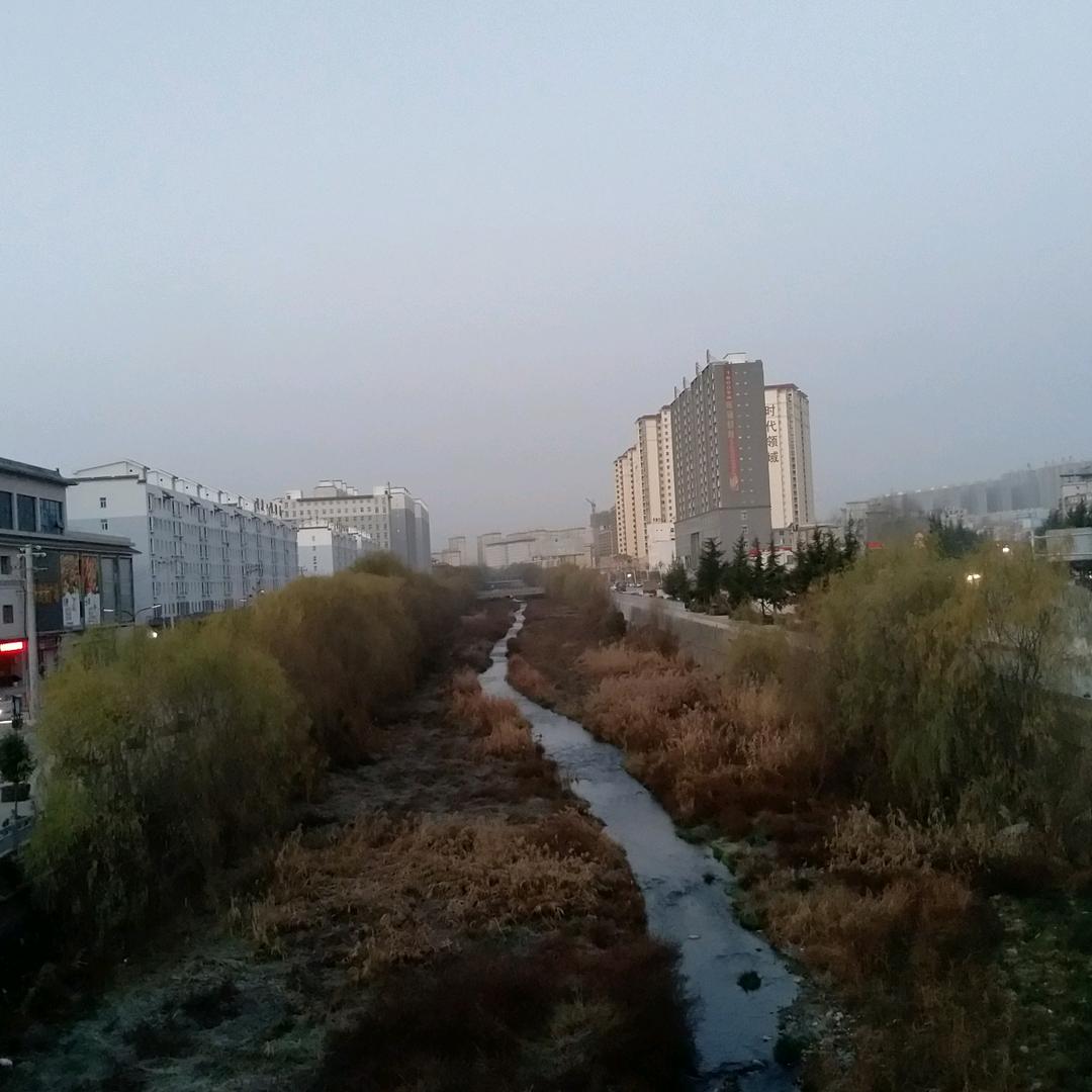晓晓3621