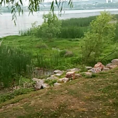 飘泊哥