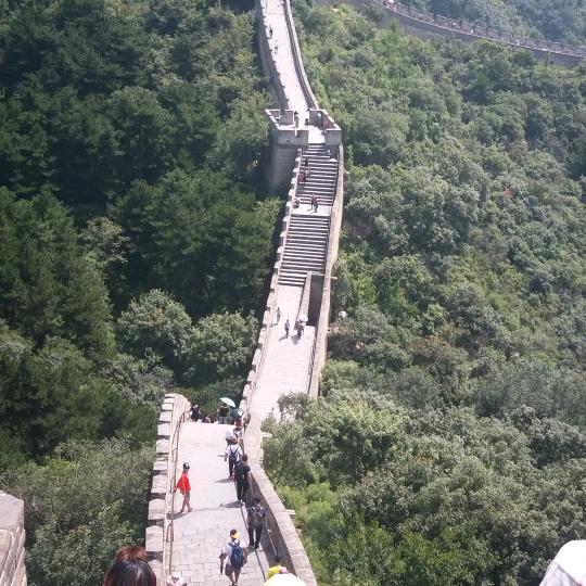听沧海官方号