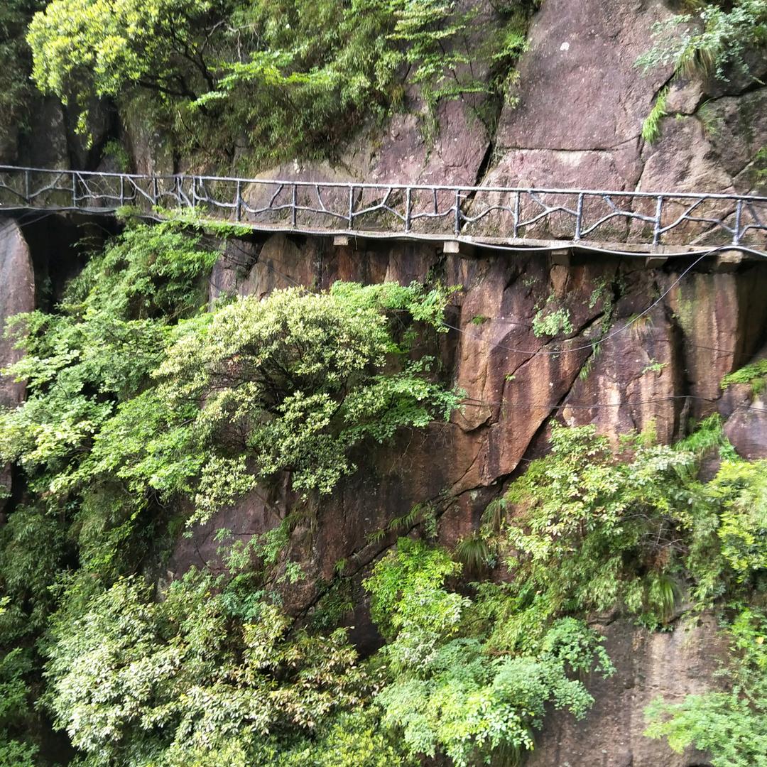 程鑫