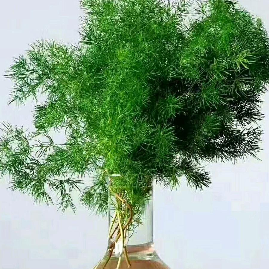 一生一世