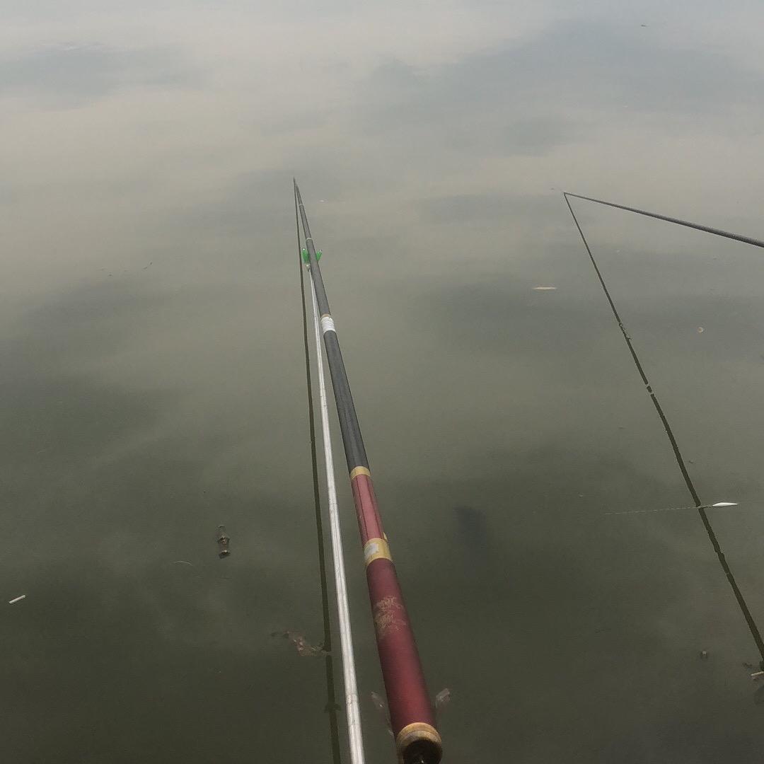 永利