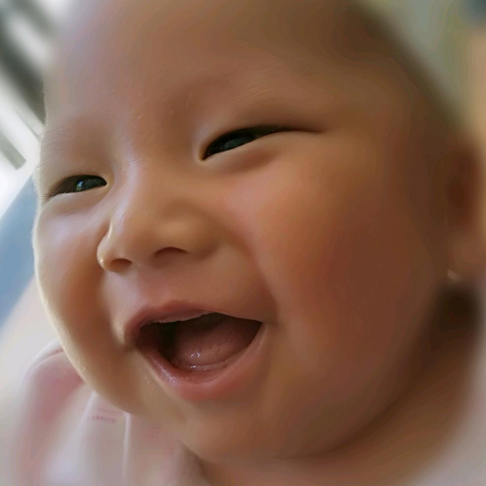 小向爱追蜂