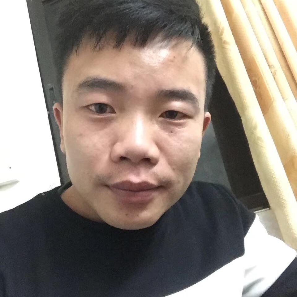 波罗的龙仔