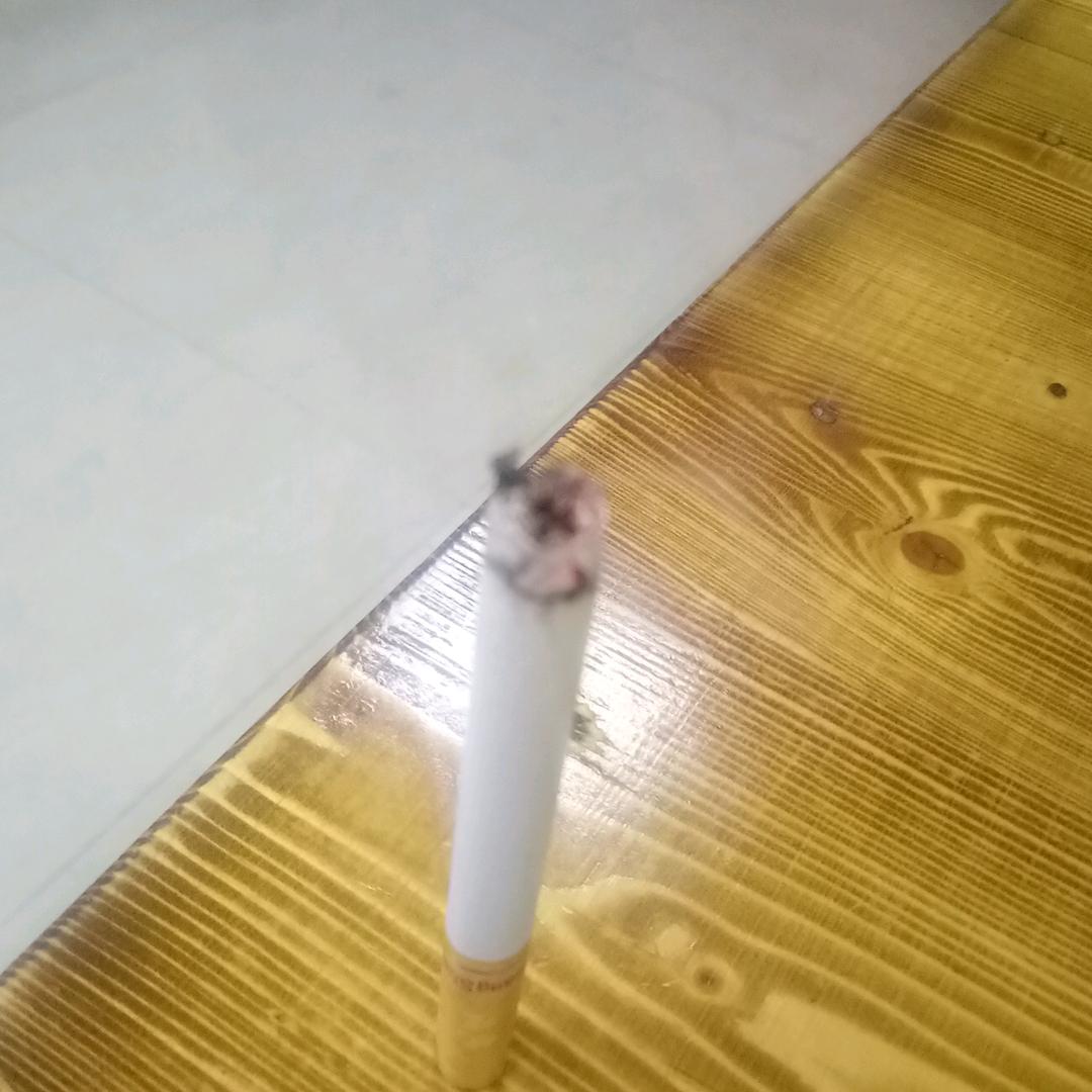 灵活的小胖子