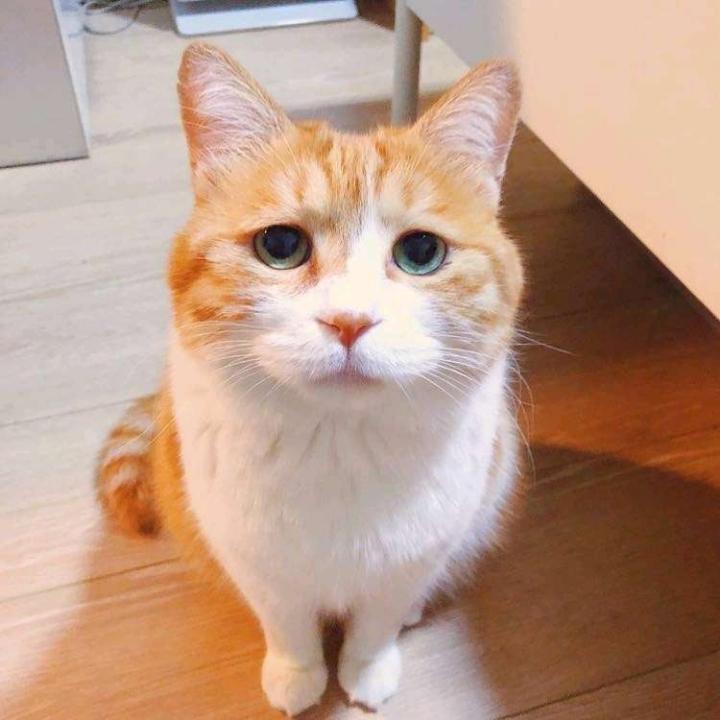 说的比唱的好听