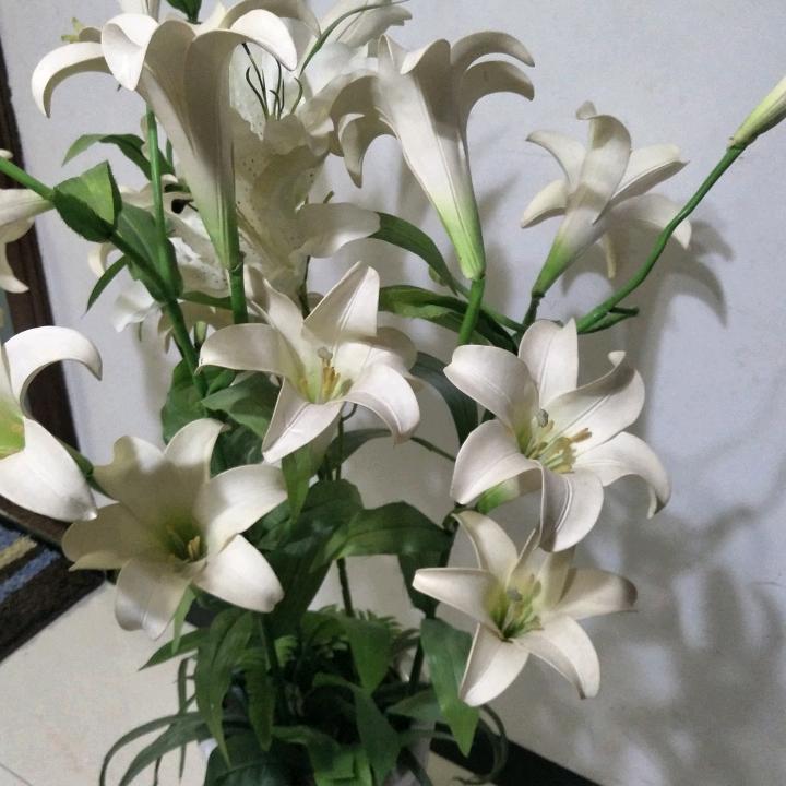珍惜眼前人