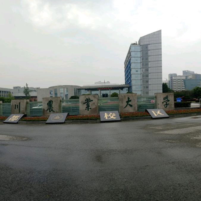 &酒醒梦迟