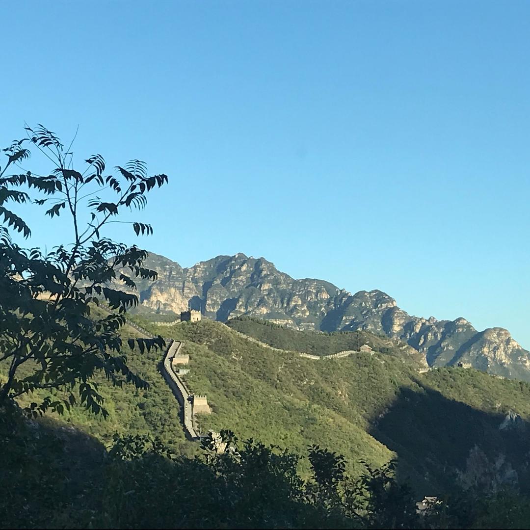 深海的鱼🐠