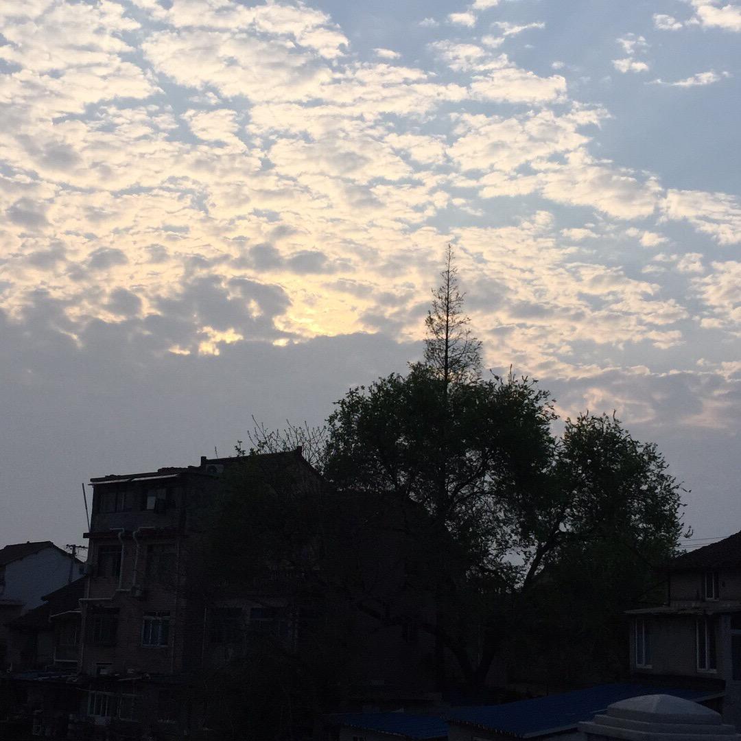 淼淼