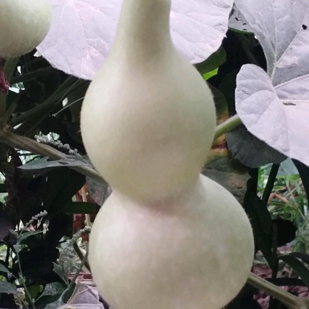 用户237457708063坚苦奋斗