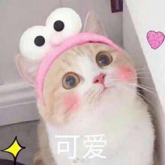 可可很美味