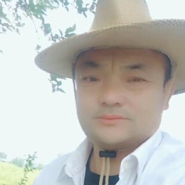 孤独求胜