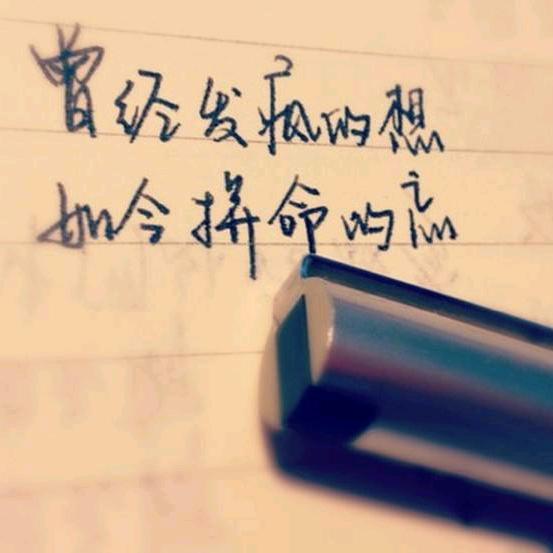 漏风的小橙子
