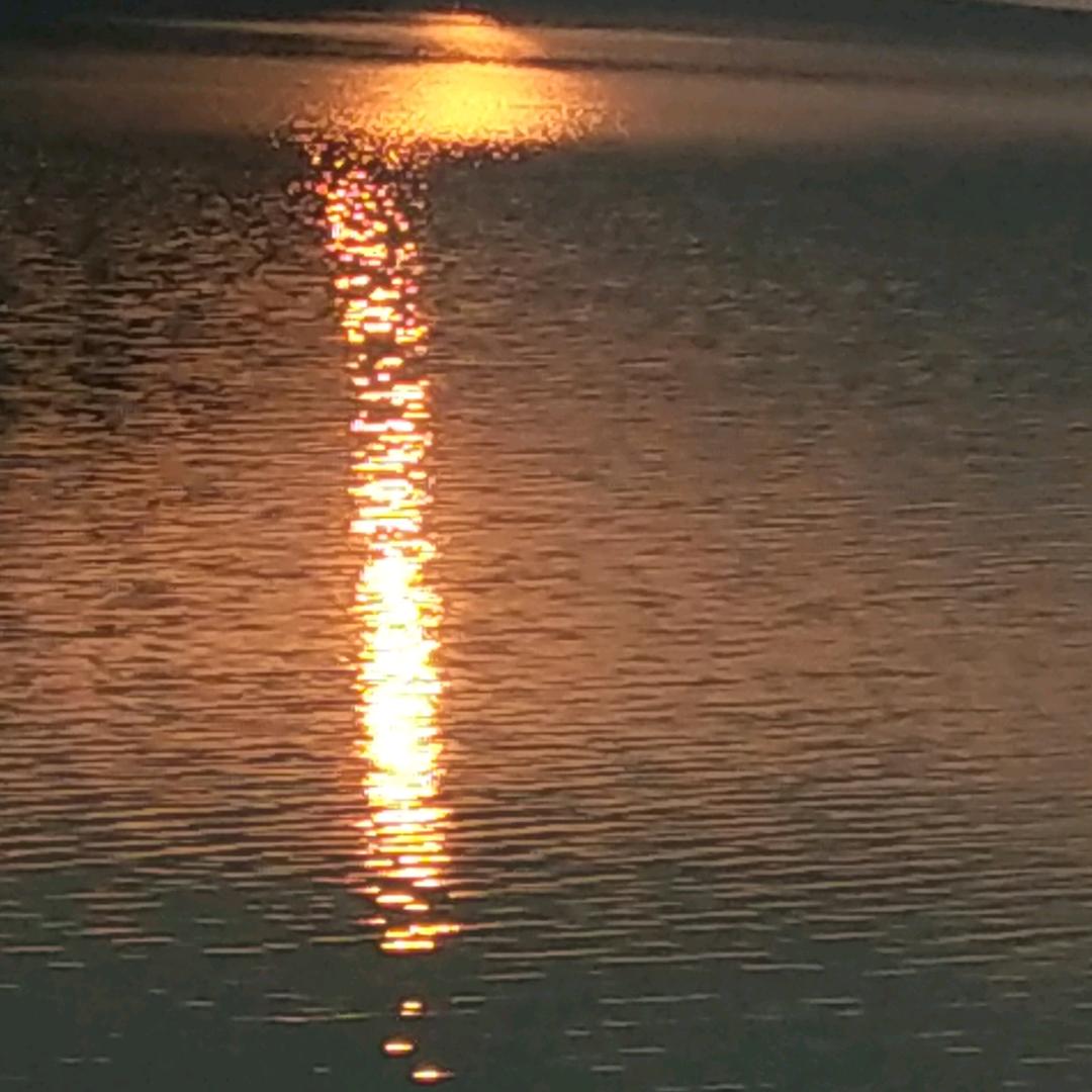沙地太阳哥（单亲爸爸）