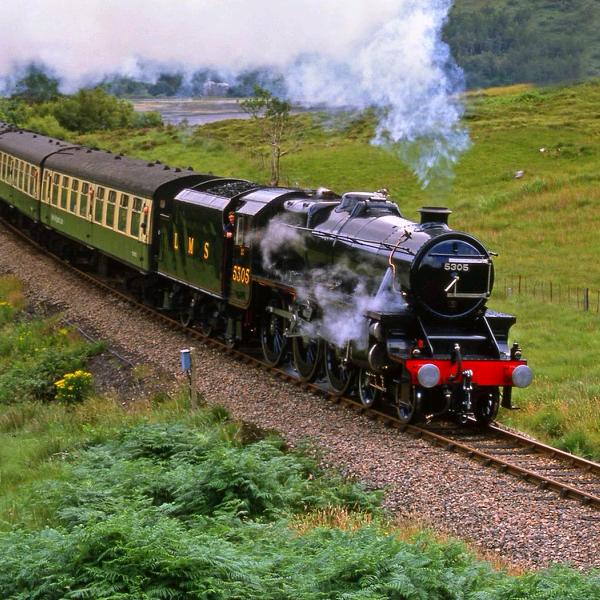 伊犁 汽修 薛隆