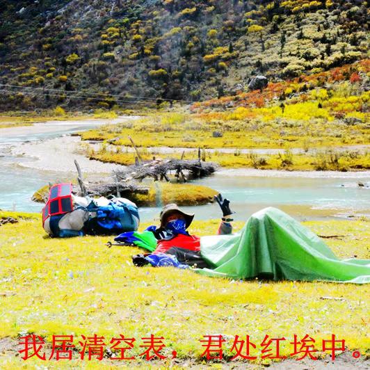 呵呵乐