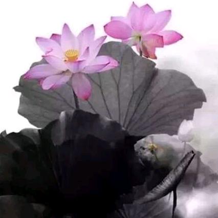 辉煌