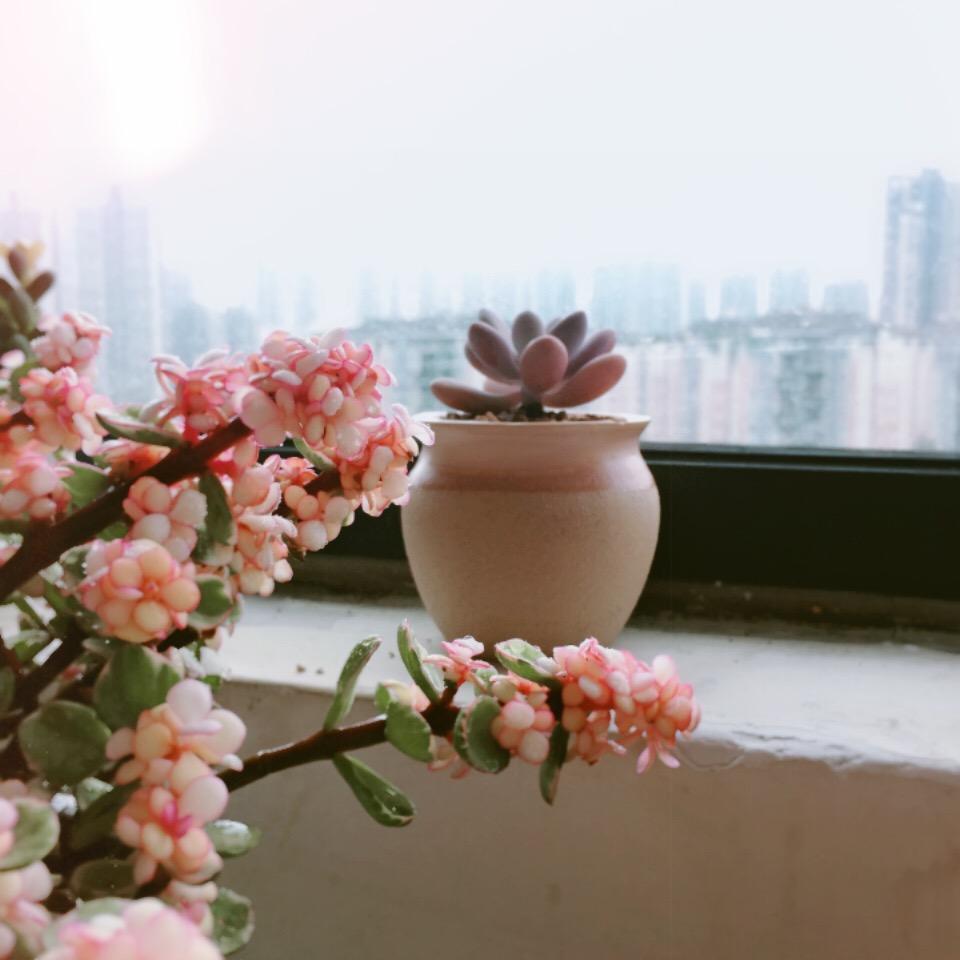 飘零