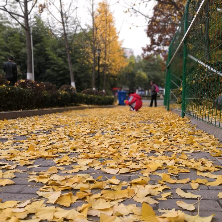 Hunterzhang