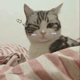 幻灭星魂