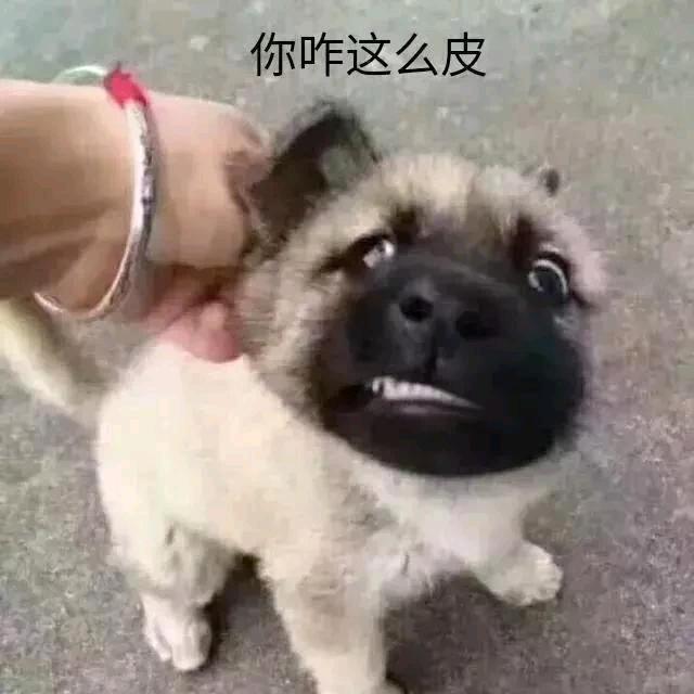 馒头神