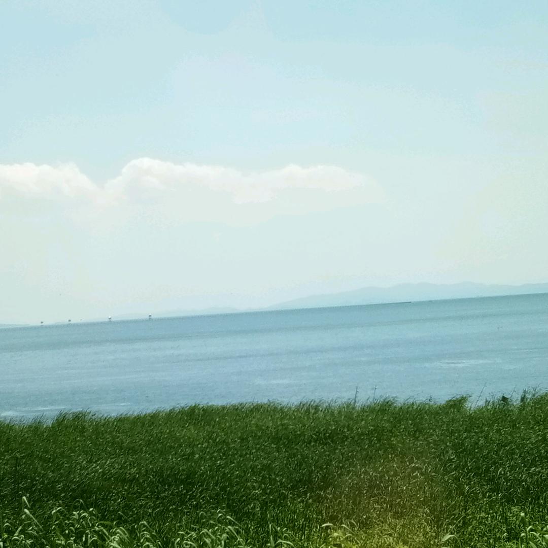 感知