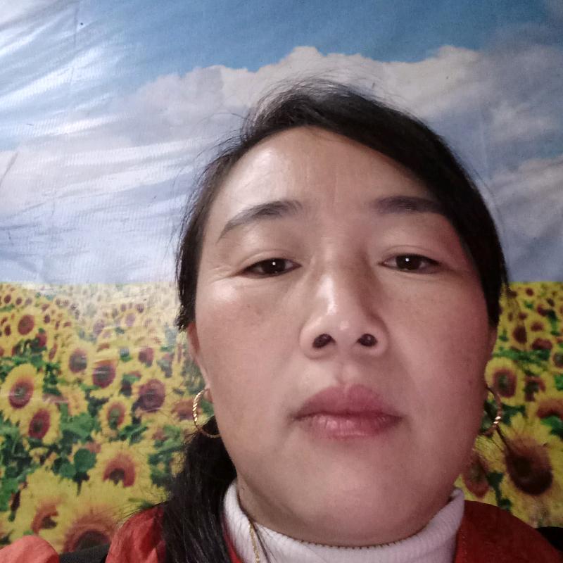 唐三姐专业红头竹荪种植