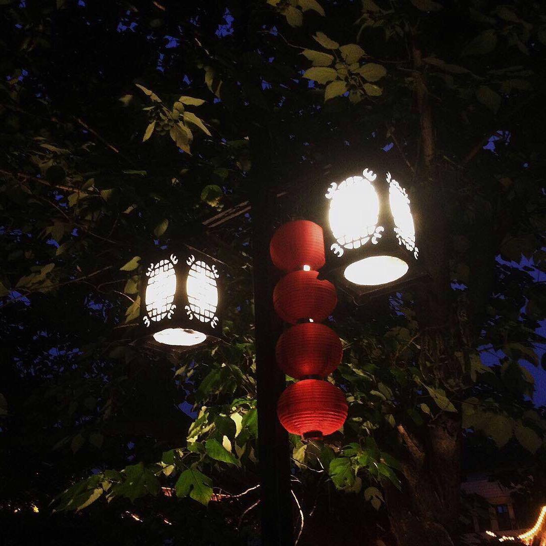 伤心雨