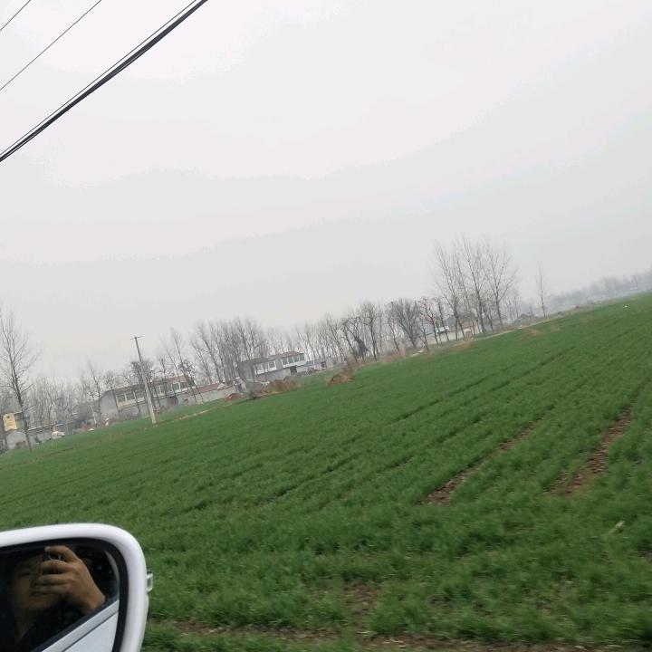 刘大洋