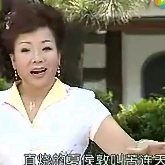 兴平市杨红梅秦腔演艺有限公司_