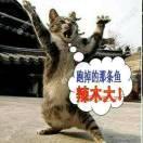 拿鱼摸虾