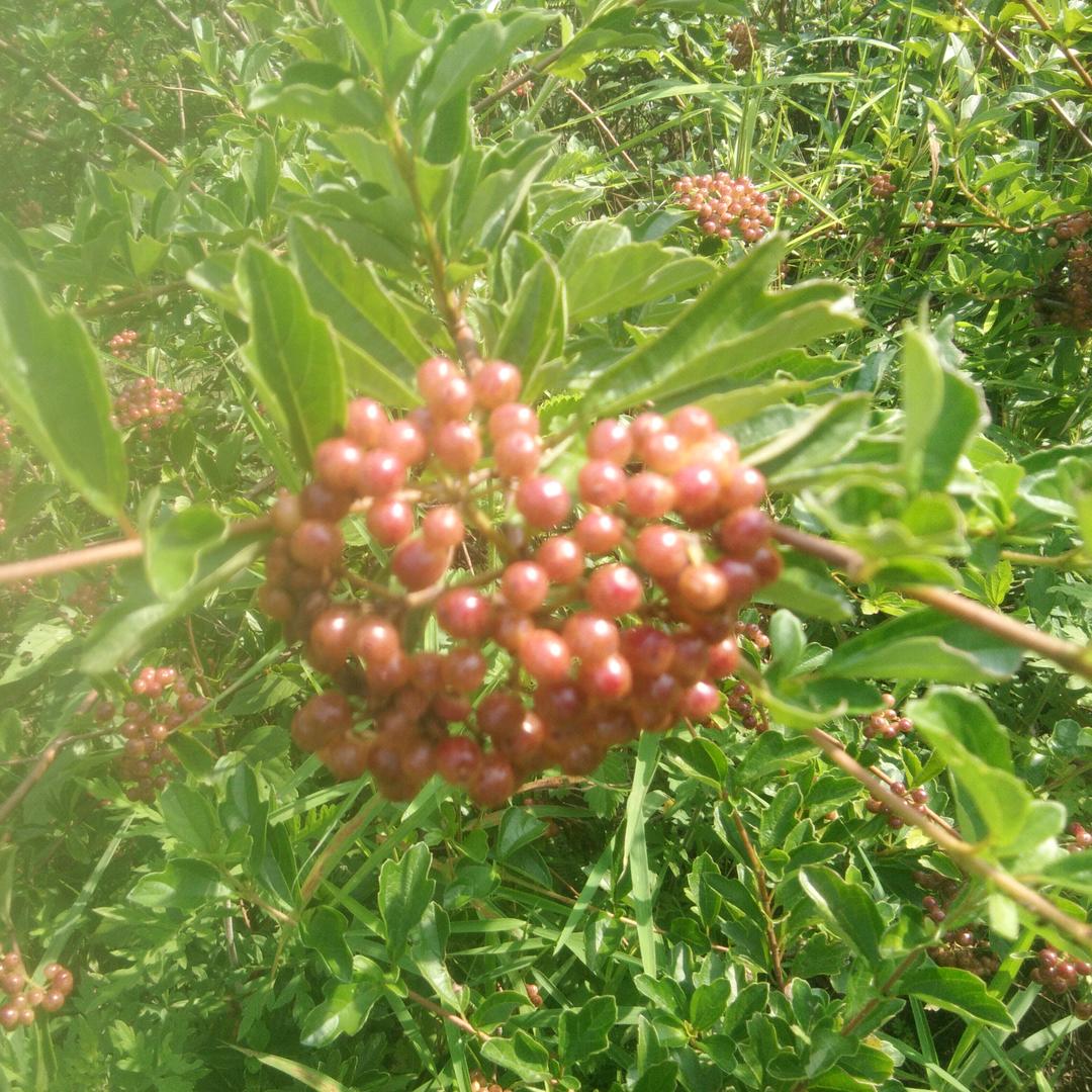 余生我陪你走。。。。。