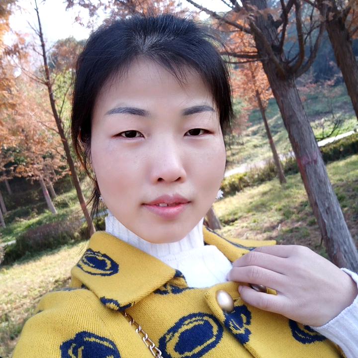 清晨的阳光_36528