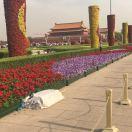 和气生财（圆梦）