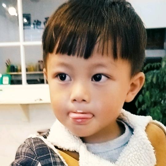 文山瑞杨汽车运输物流（杨柳）