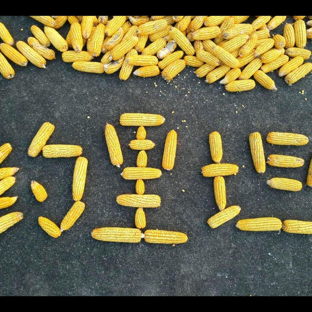 皖：🇨🇳约里古村落